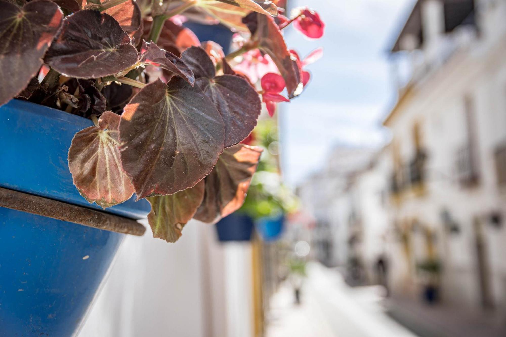 Seaclub Suites Estepona Bagian luar foto