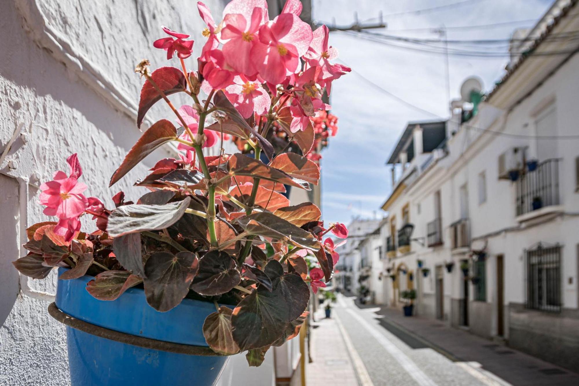 Seaclub Suites Estepona Bagian luar foto